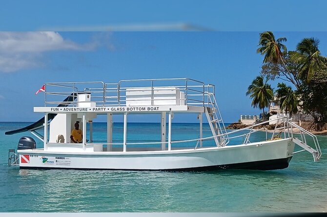 2 Hours Turtle Feeding, Shipwreck & Reef Snorkeling Tour Barbados - Rum punch, soft drinks, and a relaxed ride