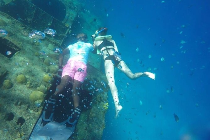 2 Hours Turtle Feeding, Shipwreck & Reef Snorkeling Tour Barbados - Why the $65 price can make sense