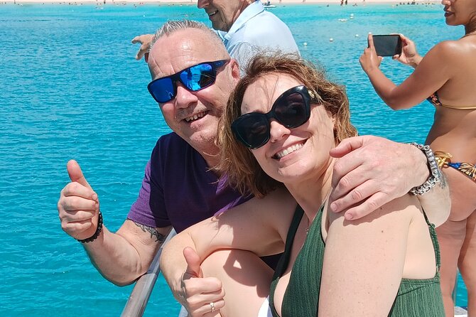 2 Hours Turtle Feeding, Shipwreck & Reef Snorkeling Tour Barbados - The turtle stop: wonderful when nature cooperates