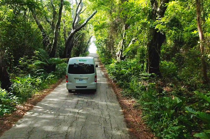 5 Hours St. Nicholas Abbey and Bajan Tour in Barbados - Rooster’s guiding style and what to expect