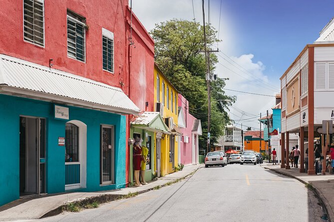 5 Hours St. Nicholas Abbey and Bajan Tour in Barbados - Who will enjoy this tour most?