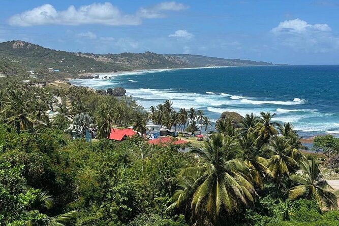 A Good Bajan Day - Bestselling Barbados Highlights Tour - Key points to know before booking