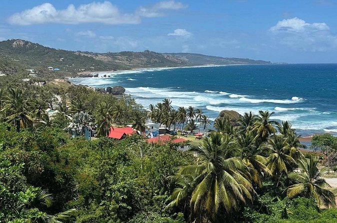 A Good Bajan Day - Bestselling Barbados Highlights Tour - Animal Flower Cave offers the most tempting upgrade