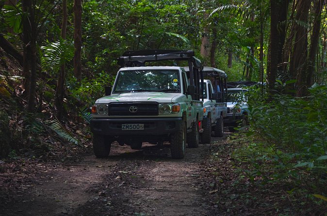 Adventure Safari - The rough roads and the right seat