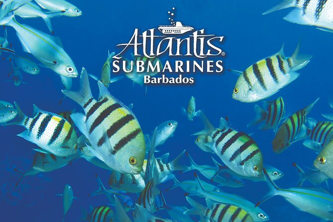 Atlantis Submarine Day Tour - Who will get the most from this trip