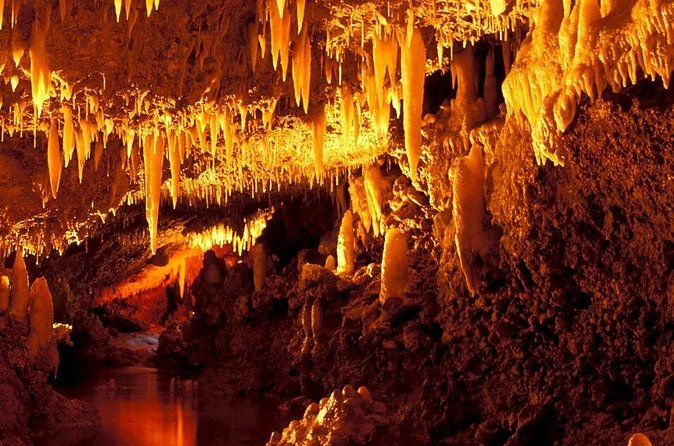 Bajan Wonders - What the cave ride feels like for different visitors