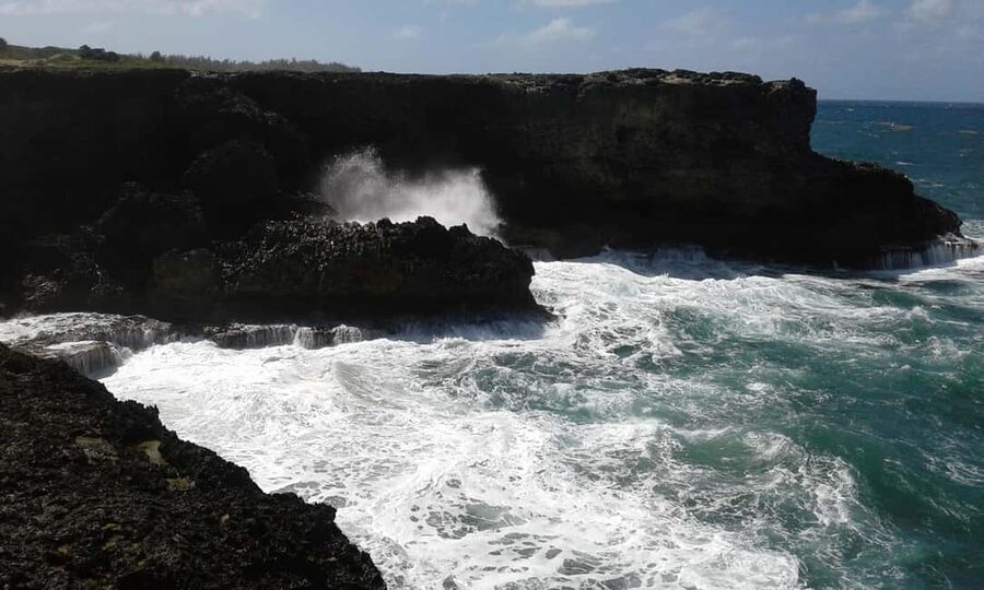Barbados: 4 Hour Private Customized Island Tour - Key points to know before booking