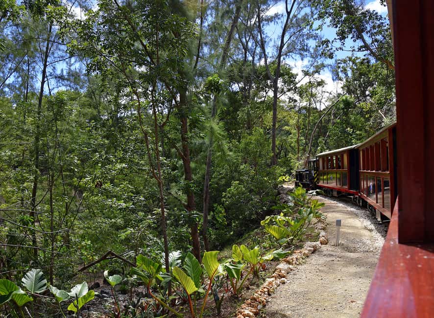 Barbados: 5.5-Hour Island Tour Plantation, Lunch and Drinks - Northern cliffs and the force of the Atlantic