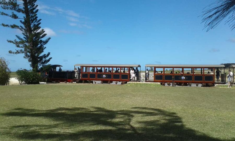 Barbados: 5.5-Hour Island Tour Plantation, Lunch and Drinks - Lunch brings in Bajan food and a proper break