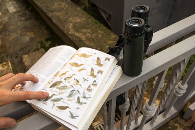Barbados Bird Watching Experience (Transport Included) - Woodbourne Shorebird Reserve
