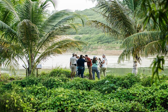 Barbados Bird Watching Experience (Transport Included) - Starting at Inch Marlow by the shore