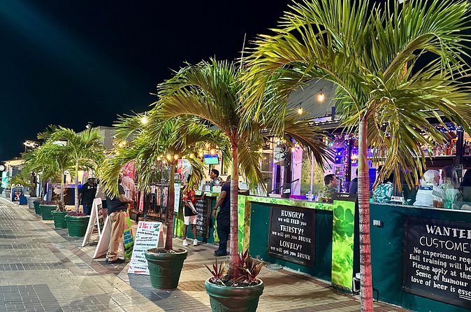 Barbados By Night: Nightlife Stops & Scenic Tour - Who Will Enjoy This Tour Most?