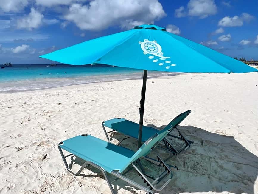 Barbados: Carlisle Bay Beach Day and Turtle Swim Experience - Key points at a glance