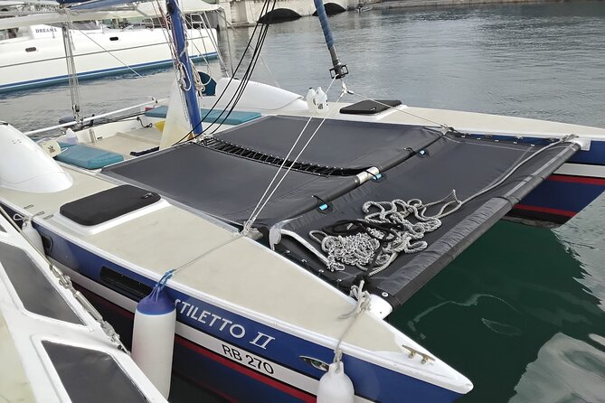 Barbados Catamaran Snorkel Cruise with Lunch and Open Bar - Turtles, wrecks, and practical snorkeling