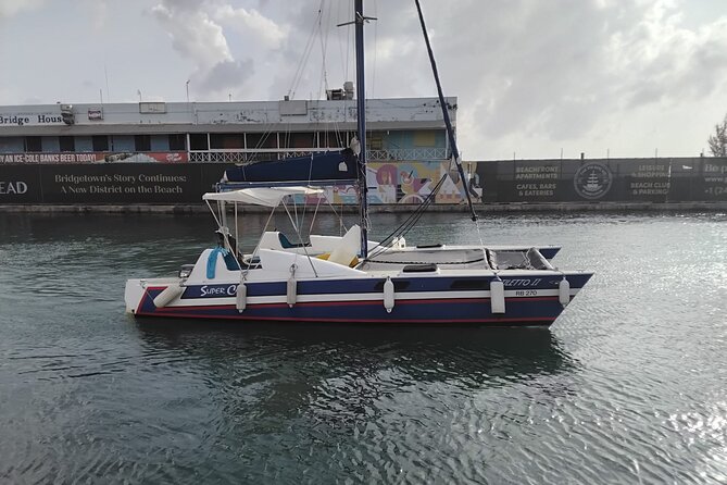 Barbados Catamaran Snorkel Cruise with Lunch and Open Bar - Rum punch, soft drinks, and the social mood