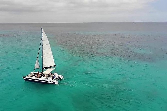 Barbados Catamaran Snorkel Cruise with Open Bar - Why Carlisle Bay makes this trip worthwhile