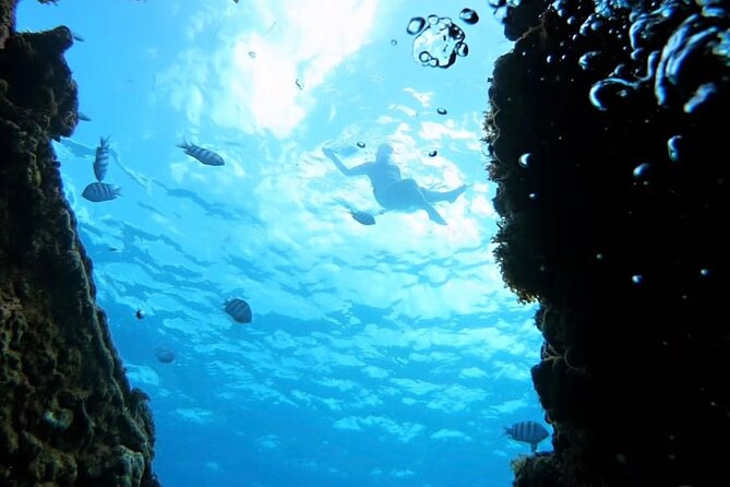 Barbados Catamaran Snorkeling Turtle and Shipwrecks tour - The relaxed ride back to Bridgetown