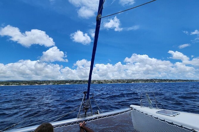 Barbados Catamaran Snorkeling Turtle and Shipwrecks tour - How the price works for different types of visitors