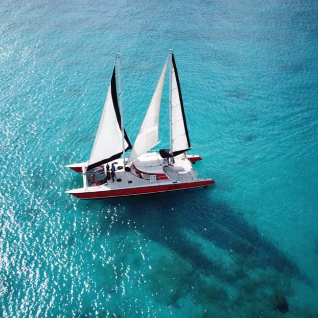 Barbados: Catamaran Tour with Snorkeling and Lunch - Shipwrecks, fish, and changing water conditions