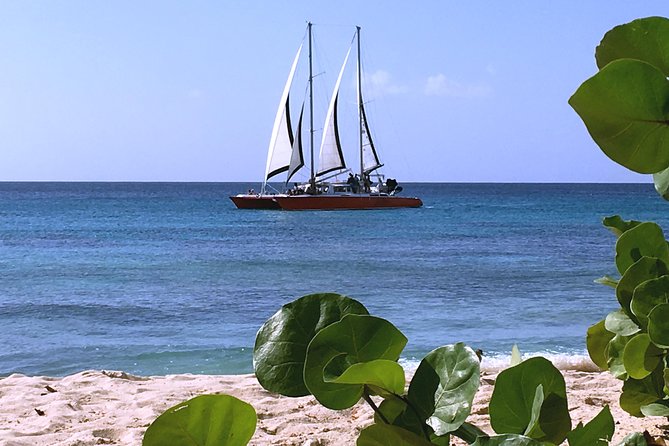 Barbados Catamaran Turtle and Shipwreck Snorkeling Cruise - Practical details that can make the day smoother