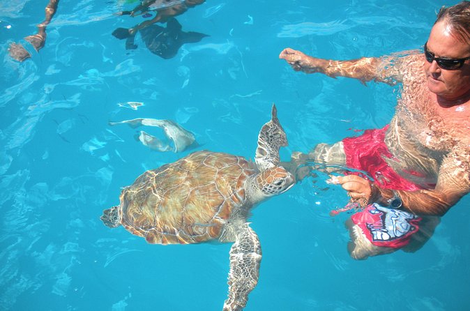 Barbados Catamaran Turtle Snorkel with Lunch and Open Bar - Who will enjoy this boat trip most