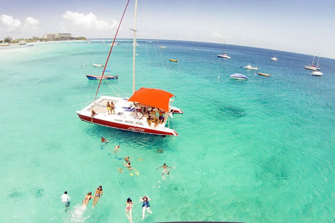 Barbados Catamaran Turtle Snorkel with Open Bar - How the crew shapes the experience