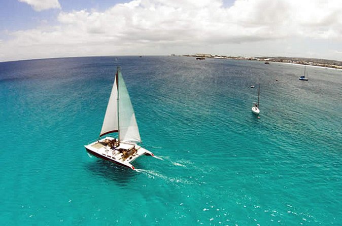 Barbados Catamaran Turtle Snorkel with Open Bar - Is $85 a fair price?