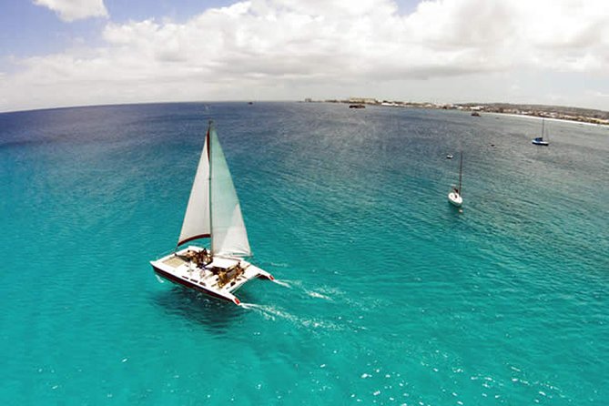 Barbados Catamaran Turtle Snorkel with Open Bar - Who should book this experience?