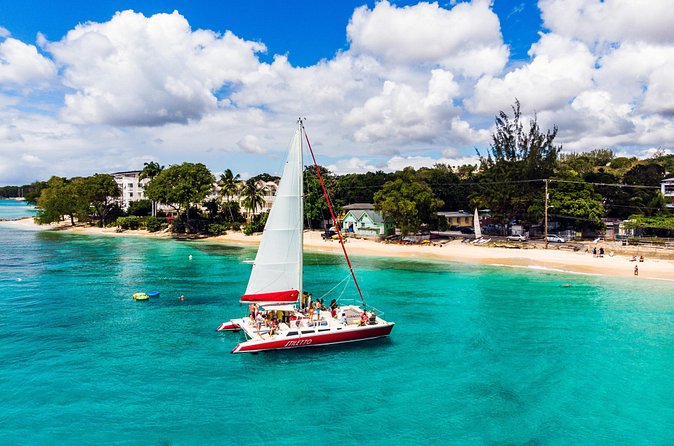 Barbados Catamaran Turtle Snorkel with Open Bar - Booking, weather, and cancellation tips