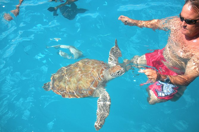 Barbados Catamaran Turtle Snorkel with Open Bar - Carlisle Bay and the turtle stop