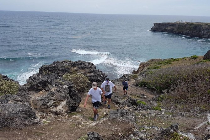 Barbados Coastal Sightseeing Private Tour - Animal Flower Cave and the Atlantic edge
