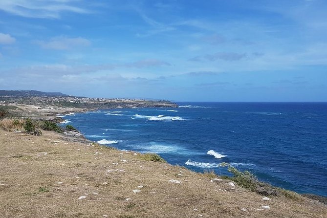 Barbados Coastal Sightseeing Private Tour - Codrington College and the southeast coast