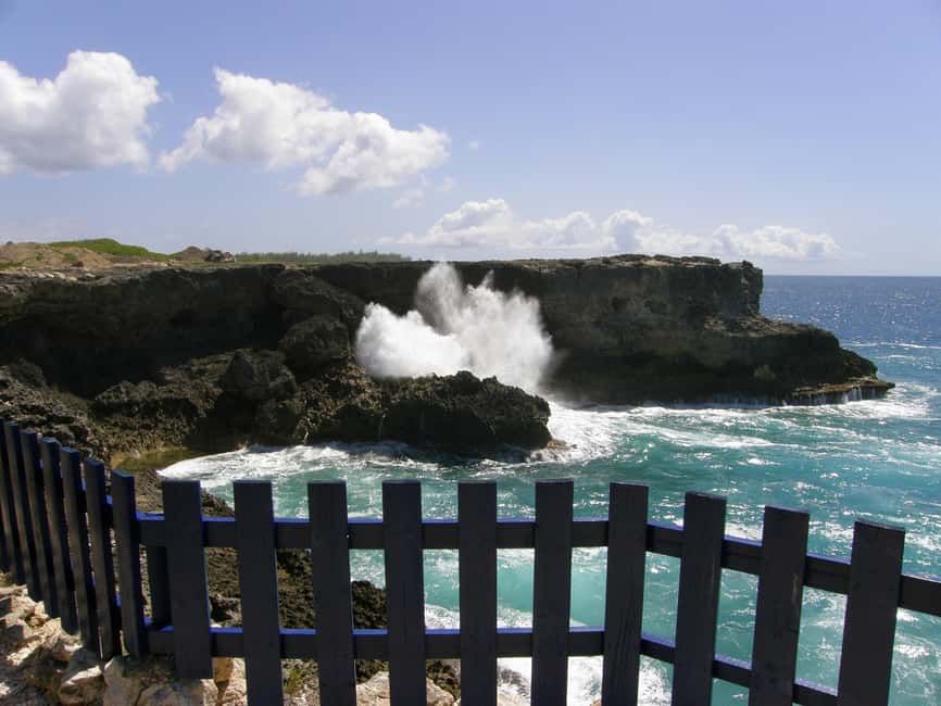 Barbados: Coastal Sightseeing Tour with Lunch and Transfers - The vehicle and pace matter more than you might expect