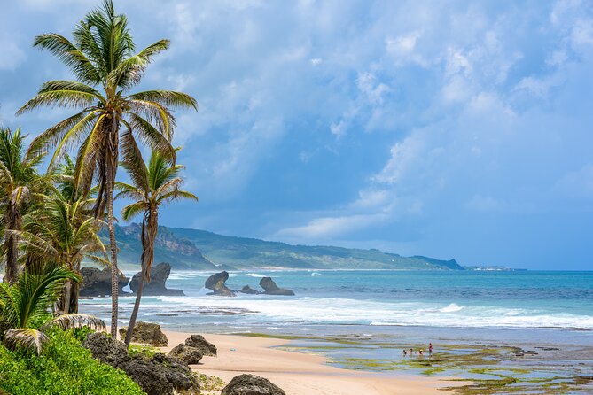Barbados Coastal Tour - Cherry Tree Hill pairs views with rum punch