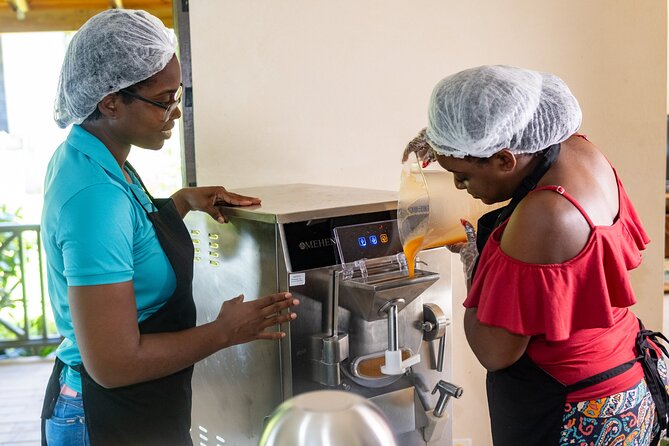 Barbados Fruit to Scoop Culinary Experience : Taste & Make Sorbet - Arriving at Cool Comfortz in Oxnards