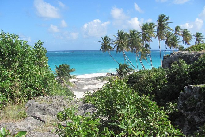Barbados Full-day Coast to Coast Tour - Rihanna Drive and a modern Barbados landmark