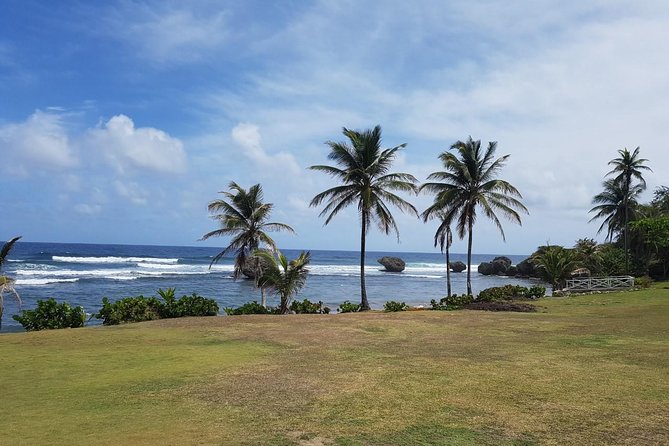 Barbados Full-day Private Tour - Adding wildlife, history, and local food