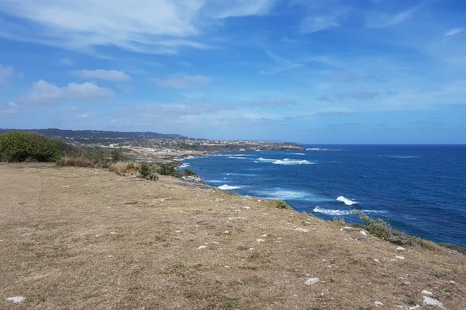 Barbados Full-day Private Tour - Comfort, vehicle size, and group limits