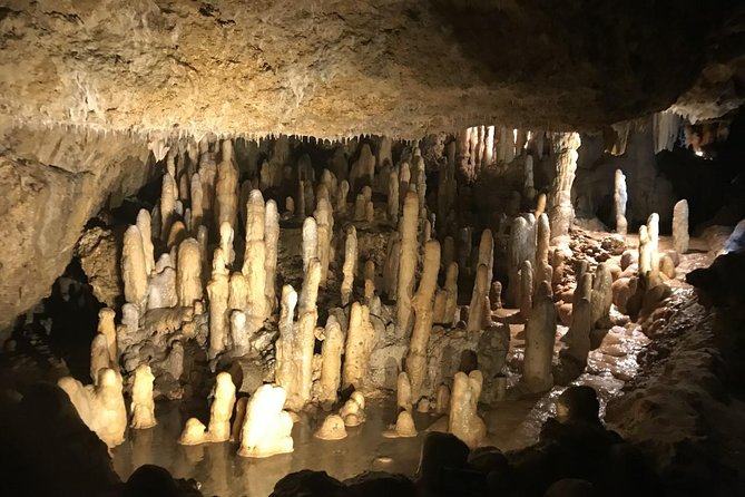 Barbados Full-day Private Tour - Timing the day from pickup to return