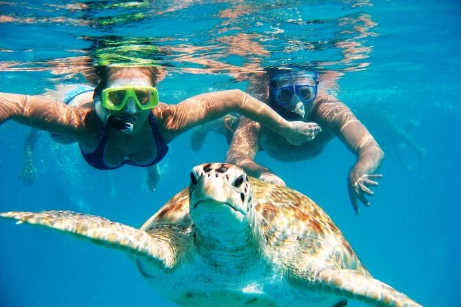 Barbados Glass Bottom Boat Cruise and Snorkeling - The Glass-Bottom Ride Is the Gentle Start