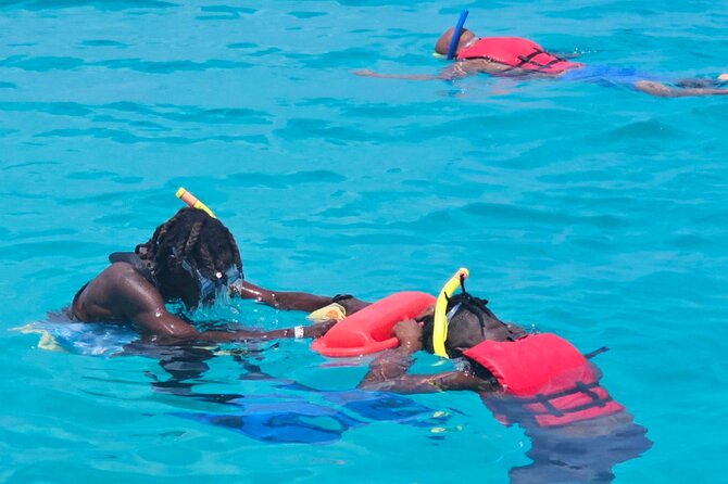 Barbados Glass Bottom Boat Cruise and Snorkeling - Is $40 a Good Price?