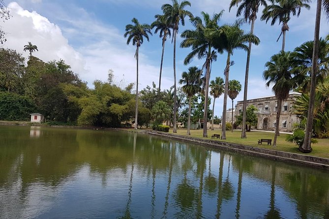 Barbados Half Day Private Tour - Scenic roads, churches, and the wider island