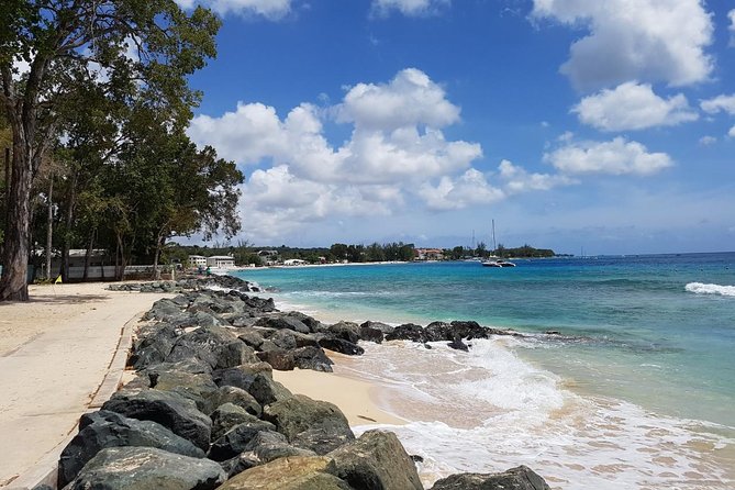 Barbados Half Day Private Tour - Is $196.16 good value for four people?