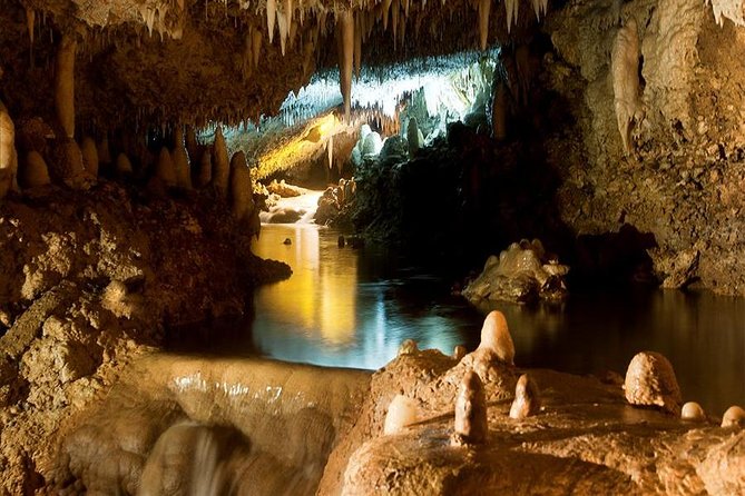 Barbados Harrison's Cave and Atlantis Submarine Dive Tour - What to bring and how to plan the day
