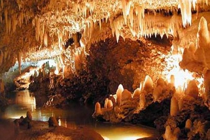 Barbados Harrison's Cave and St Nicolas Abbey Tour - Morning pickup with a small local group