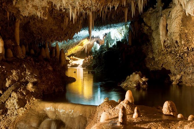 Barbados Harrison's Cave and St Nicolas Abbey Tour - Scenic extras can change the shape of the day