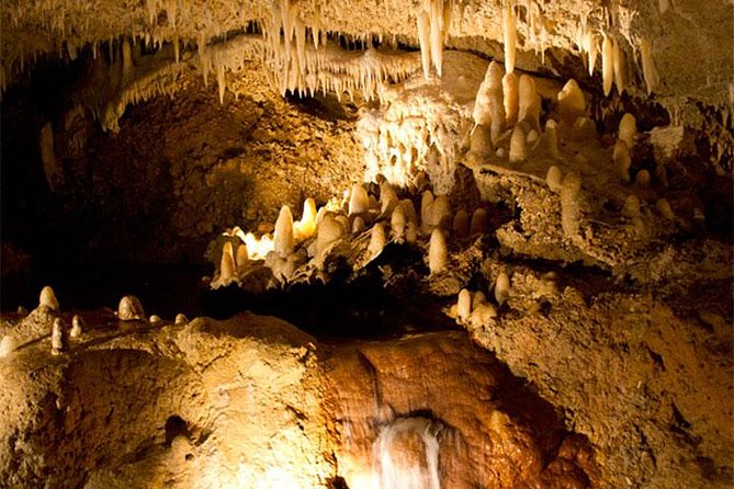 Barbados Harrison's Cave Tram Tour and Boat Cruise Snorkel Adventure - Why this combination works in Barbados