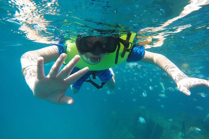 Barbados Harrison's Cave Tram Tour and Boat Cruise Snorkel Adventure - Who will enjoy this Barbados day?
