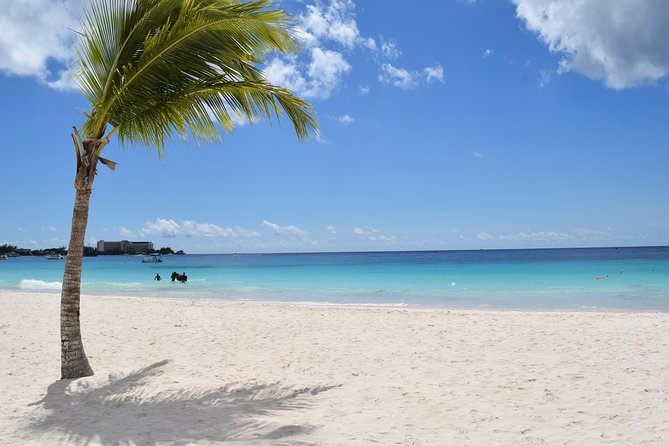 Barbados Harrison's Cave Tram Tour and Boat Cruise Snorkel Adventure - Carlisle Bay gives you beach time, with limits