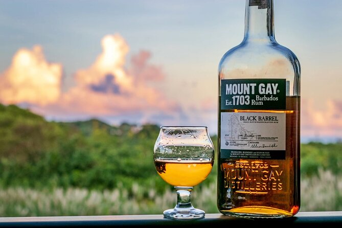 Barbados Highlights and Rum Tour - One day, several sides of Barbados